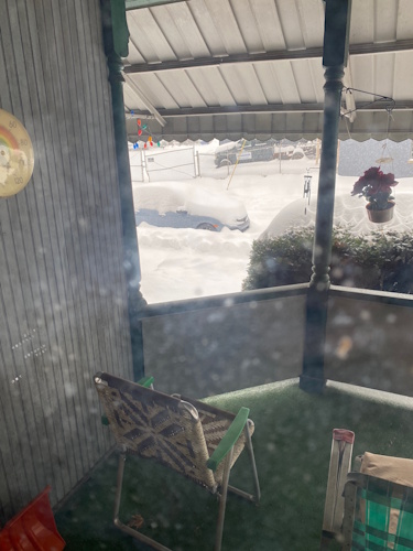 snowJan2901